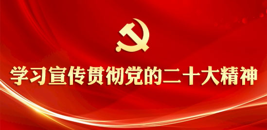 “学习宣传贯彻党的二十大精神”